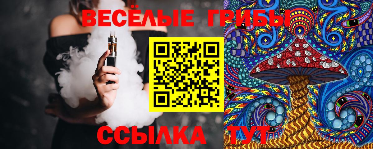 Галлюциногенные грибы Psilocybine cubensis  Вход с VPN  Арзамас 